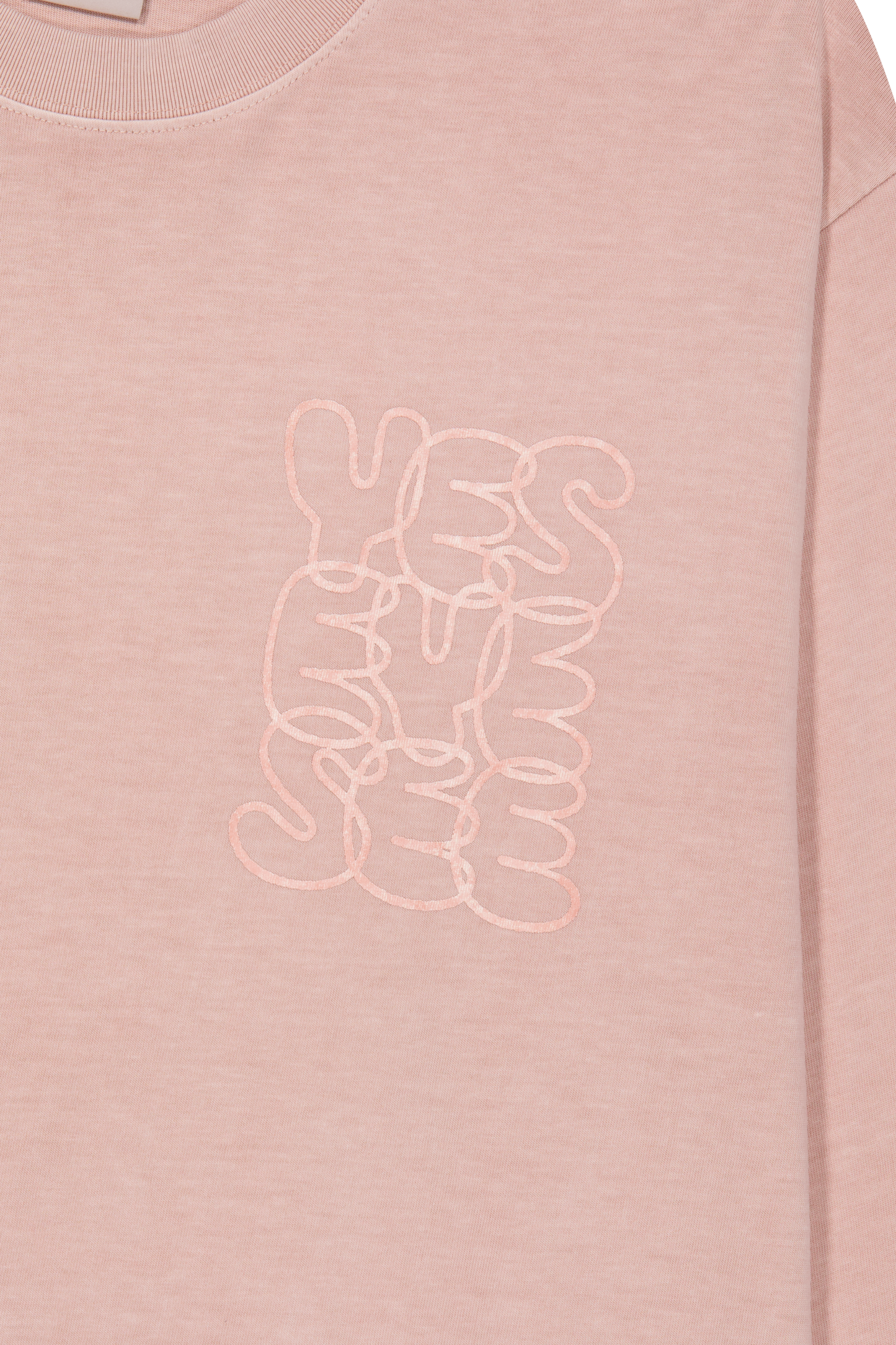 C-Logo Pigment L/S