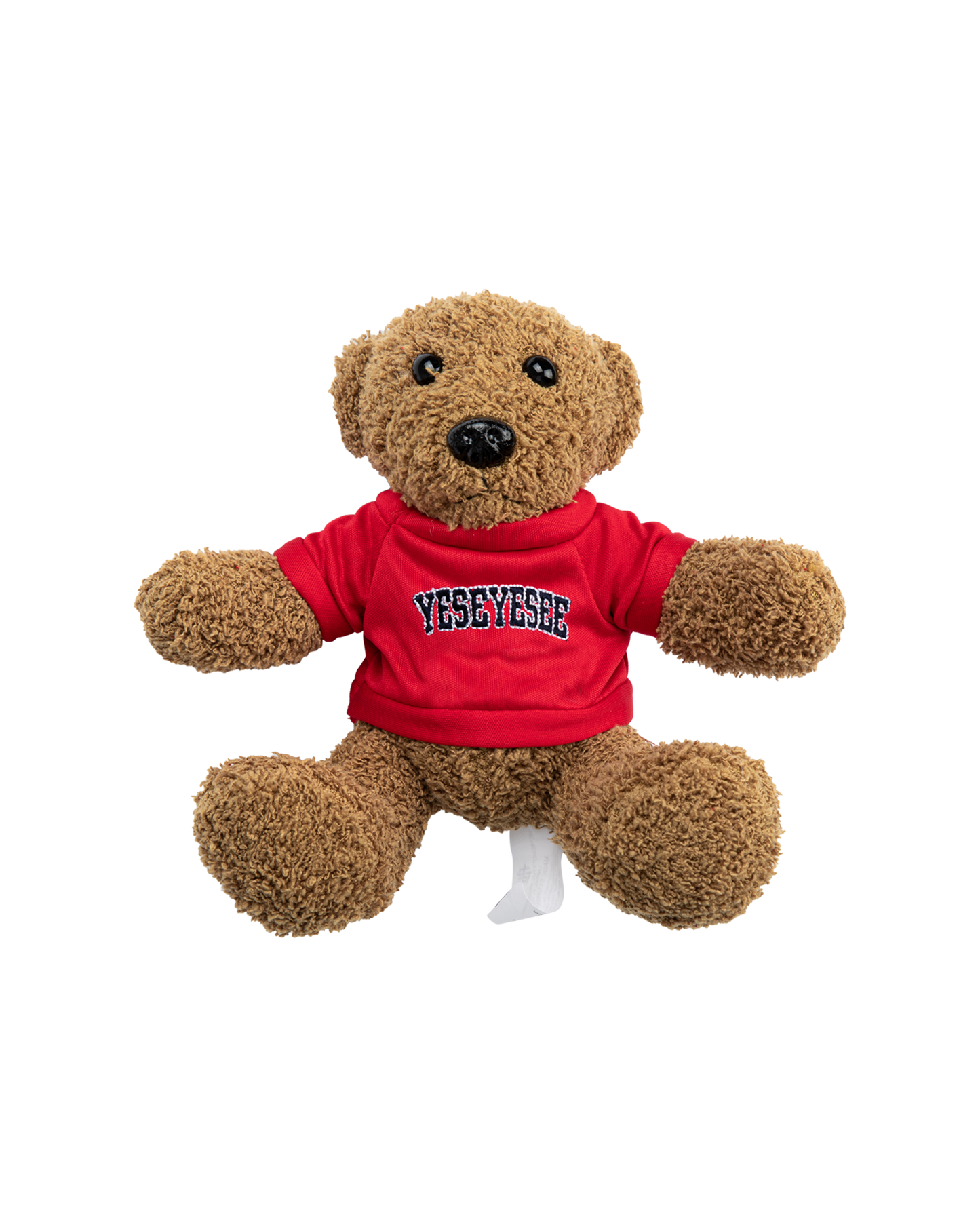 Arch Logo Teddy Bear