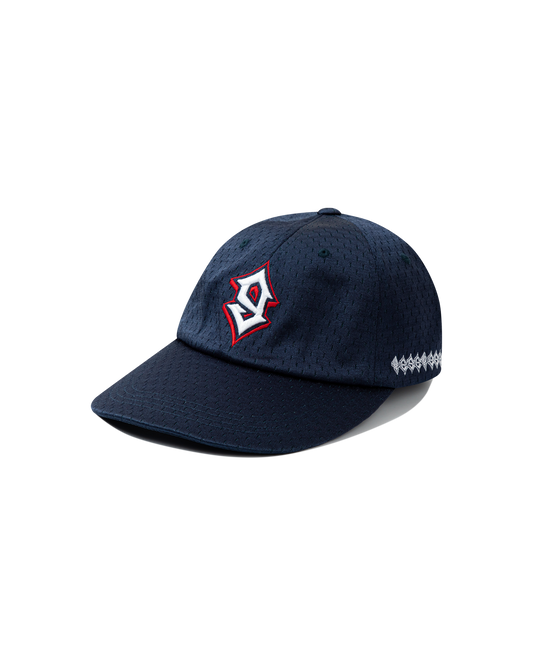 Baseball Mesh Cap