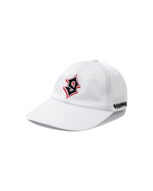 Baseball Mesh Cap
