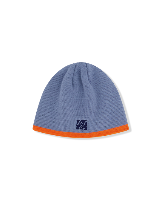 Newsboy beanie