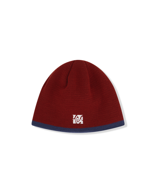 Newsboy beanie