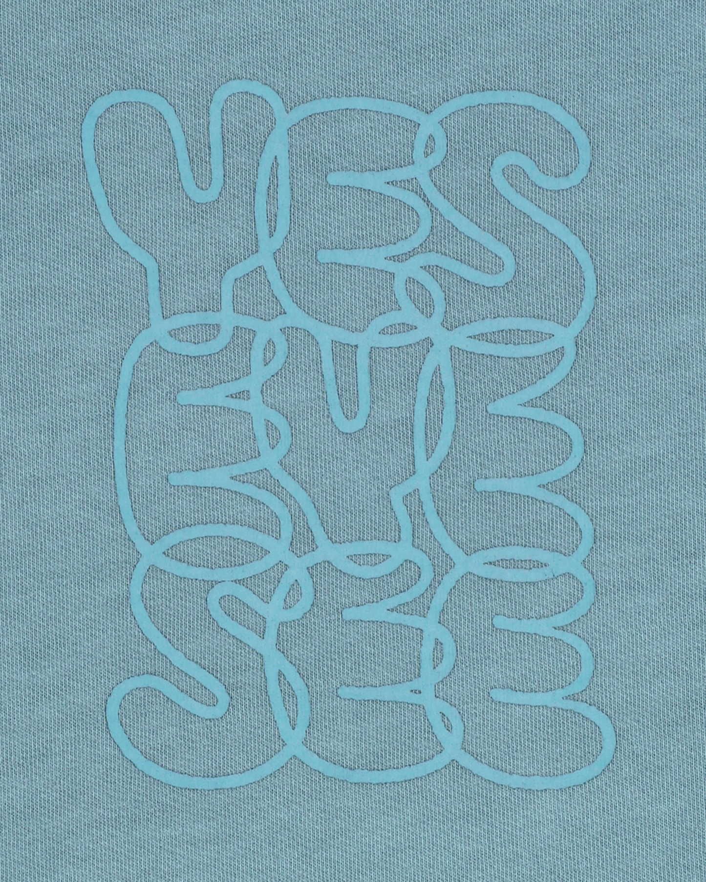 C-Logo Pigment L/S