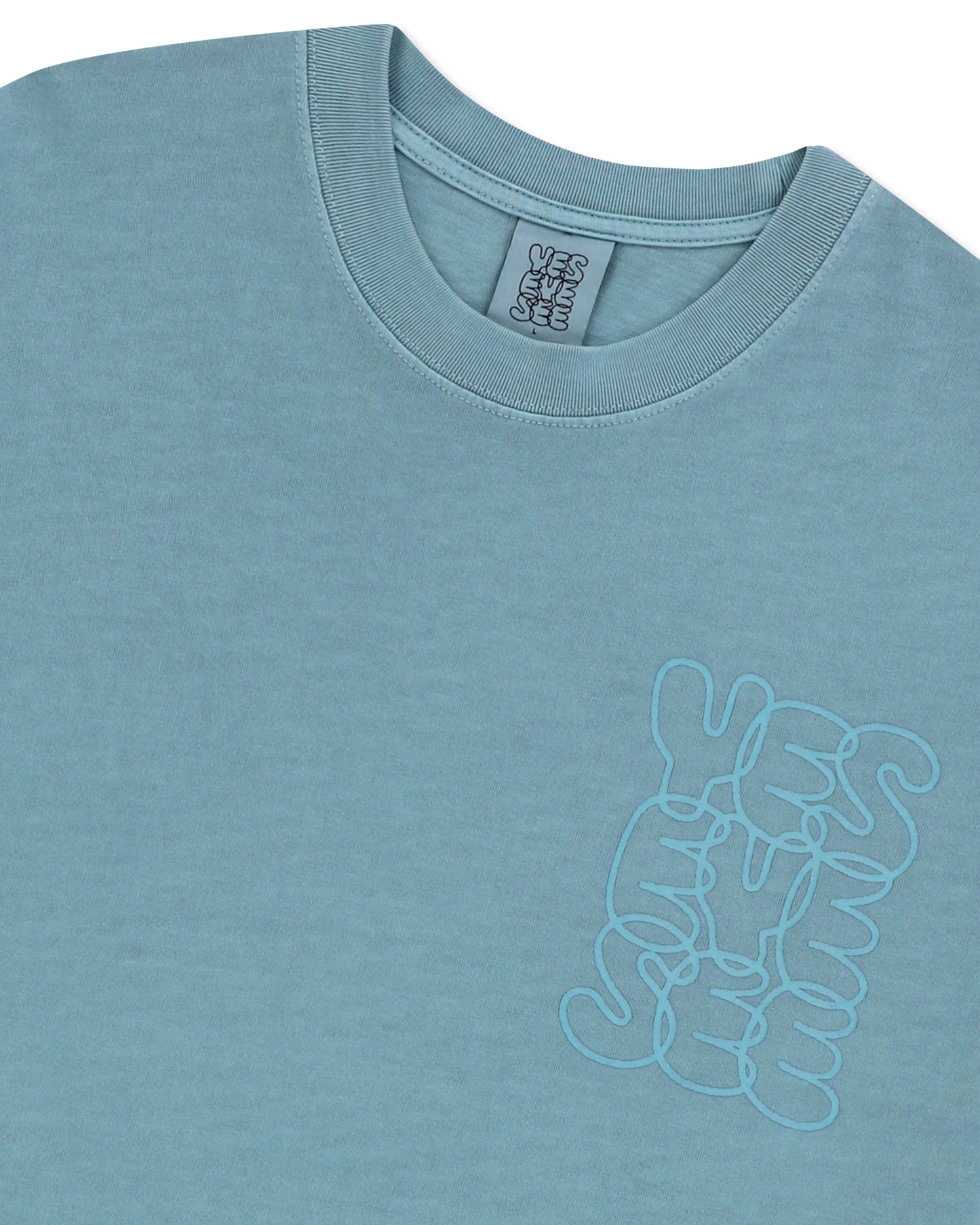 C-Logo Pigment L/S