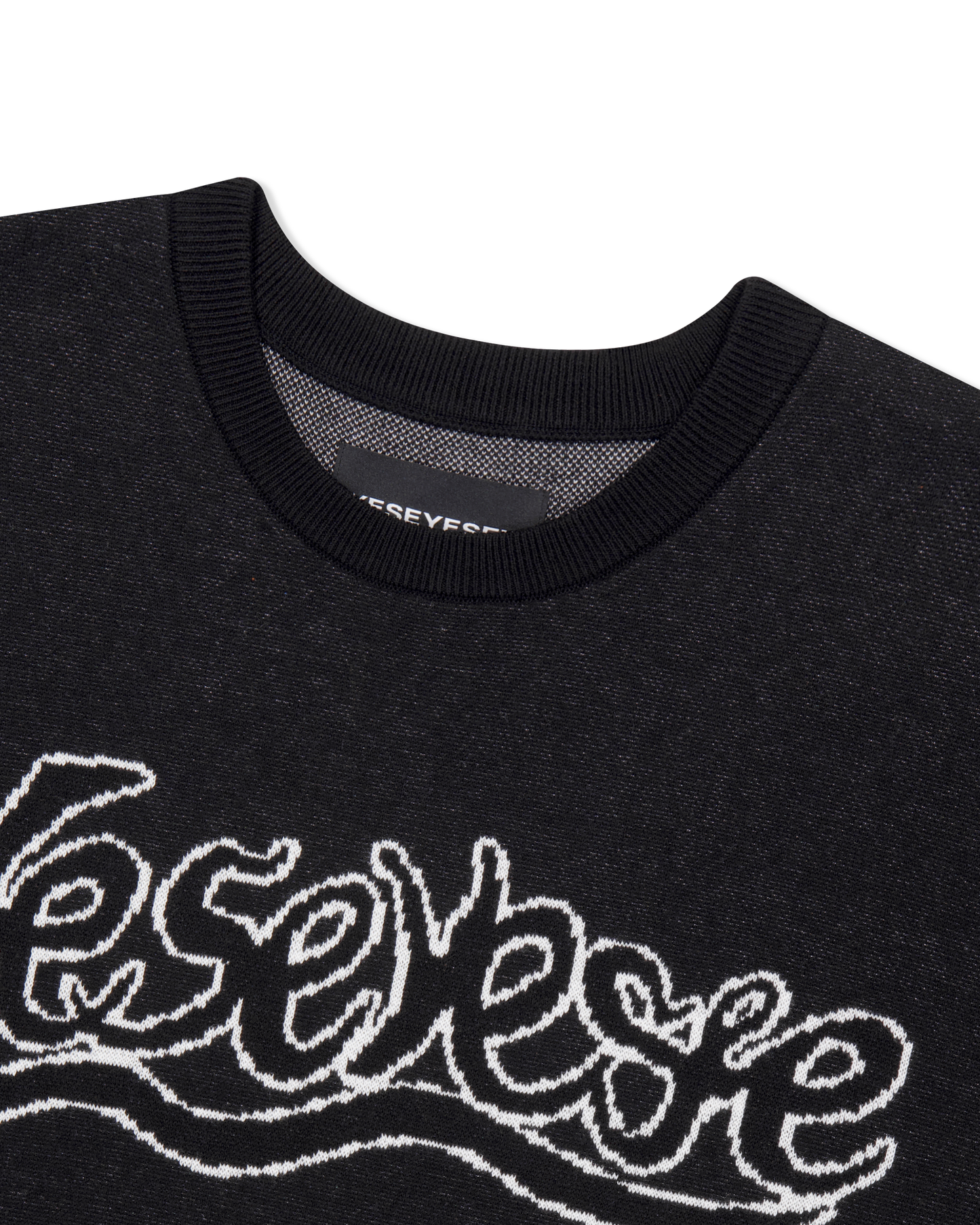 Snail Logo Long Sleeve Knit Pullover