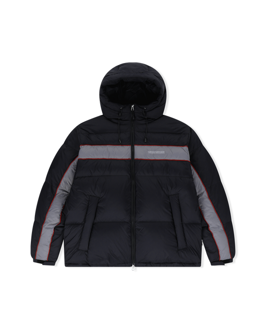 Paneled Down Jacket