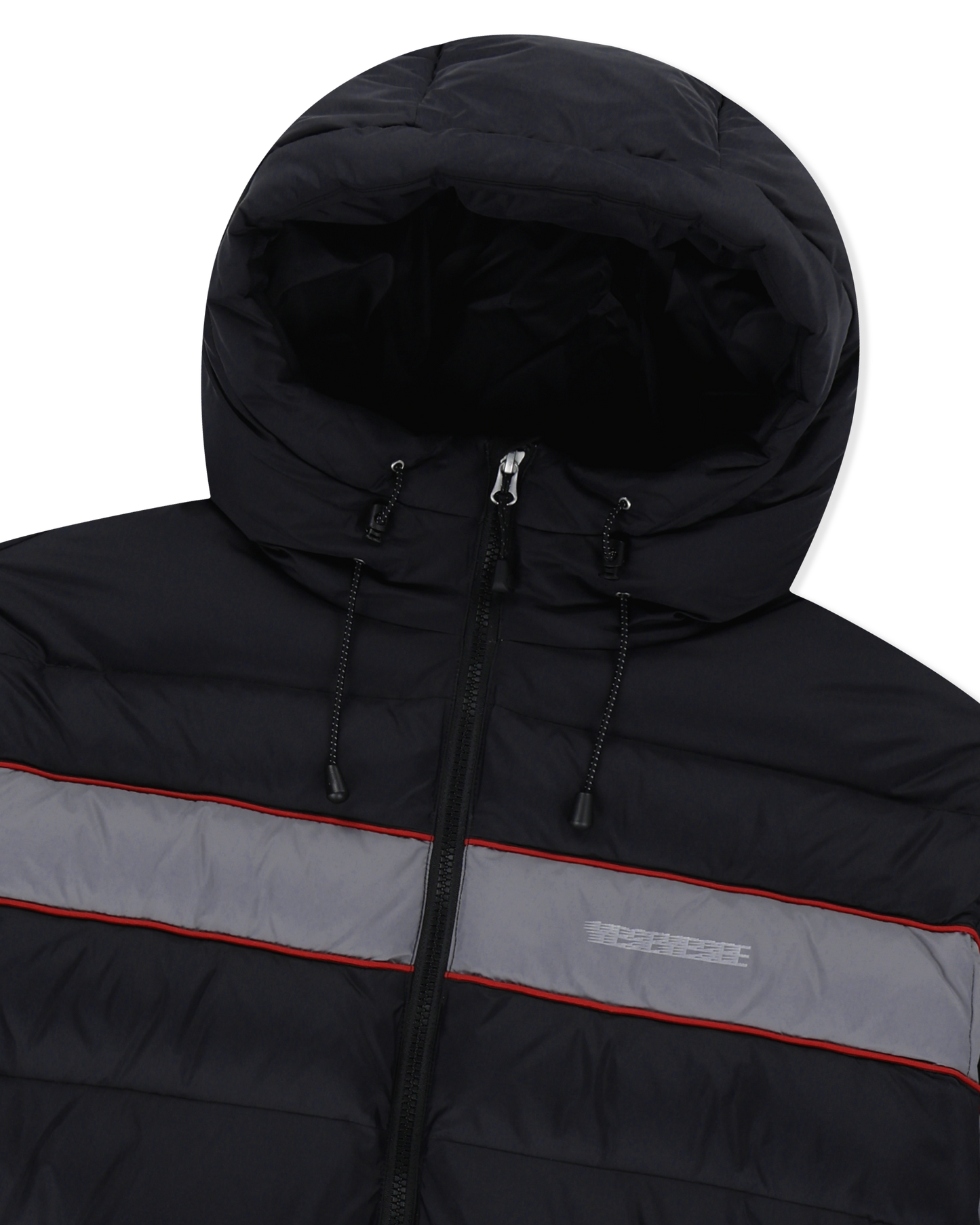 Paneled Down Jacket