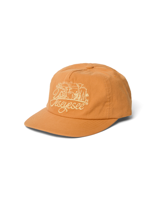 Field Cap