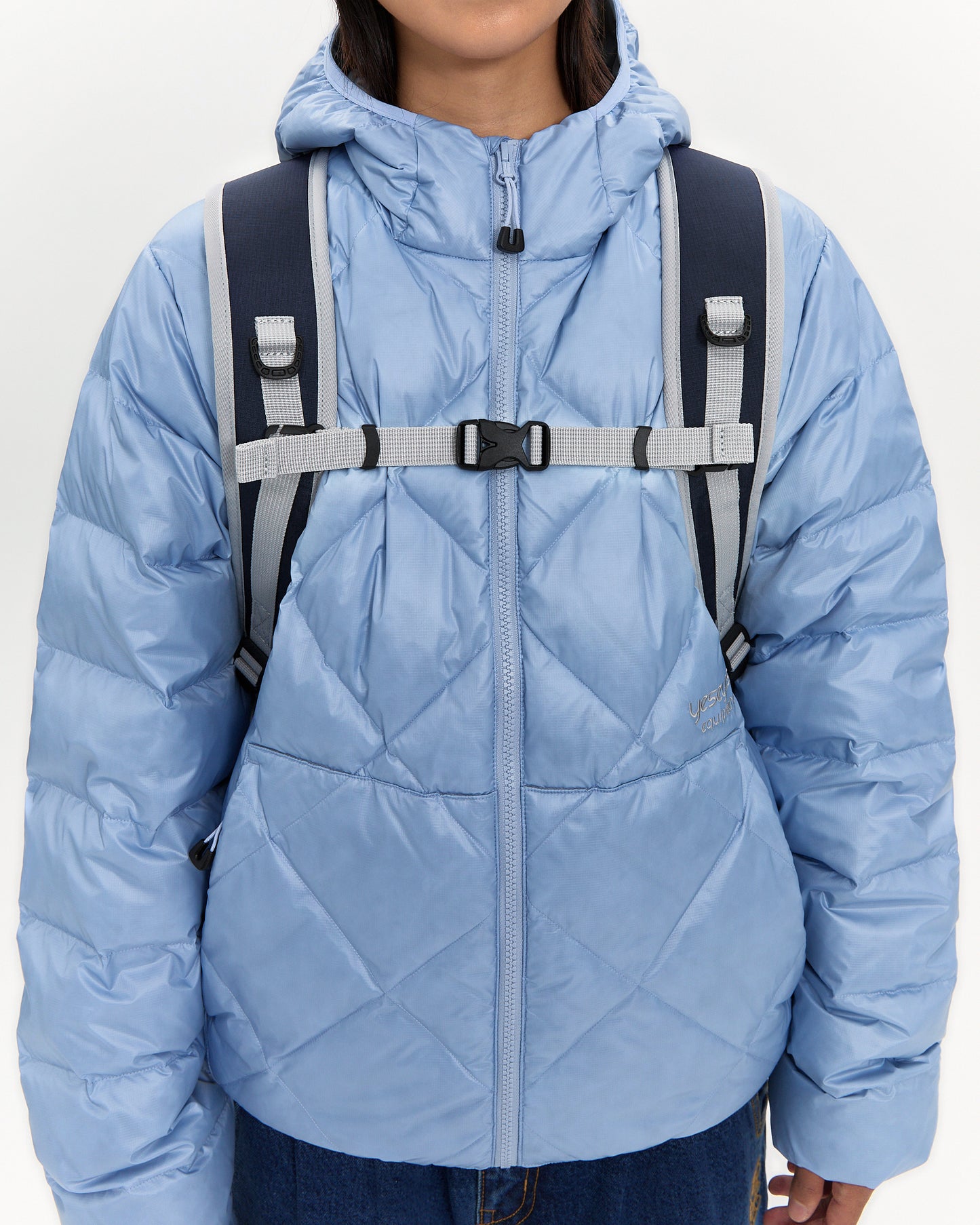 Y.E.S Beetle Backpack