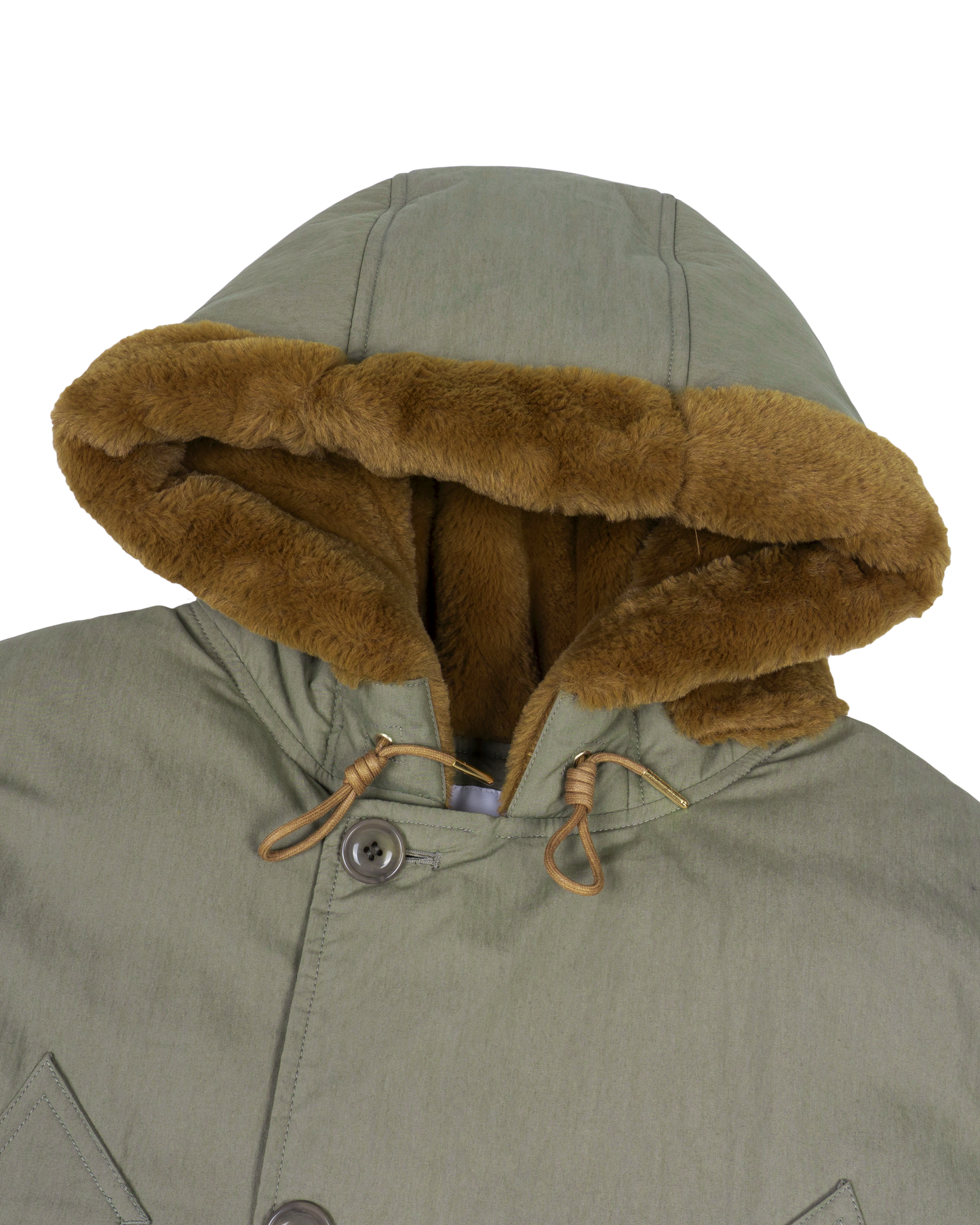 Guardian Down parka